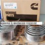 cummins-bearing-kt19-m11-ana-yatak